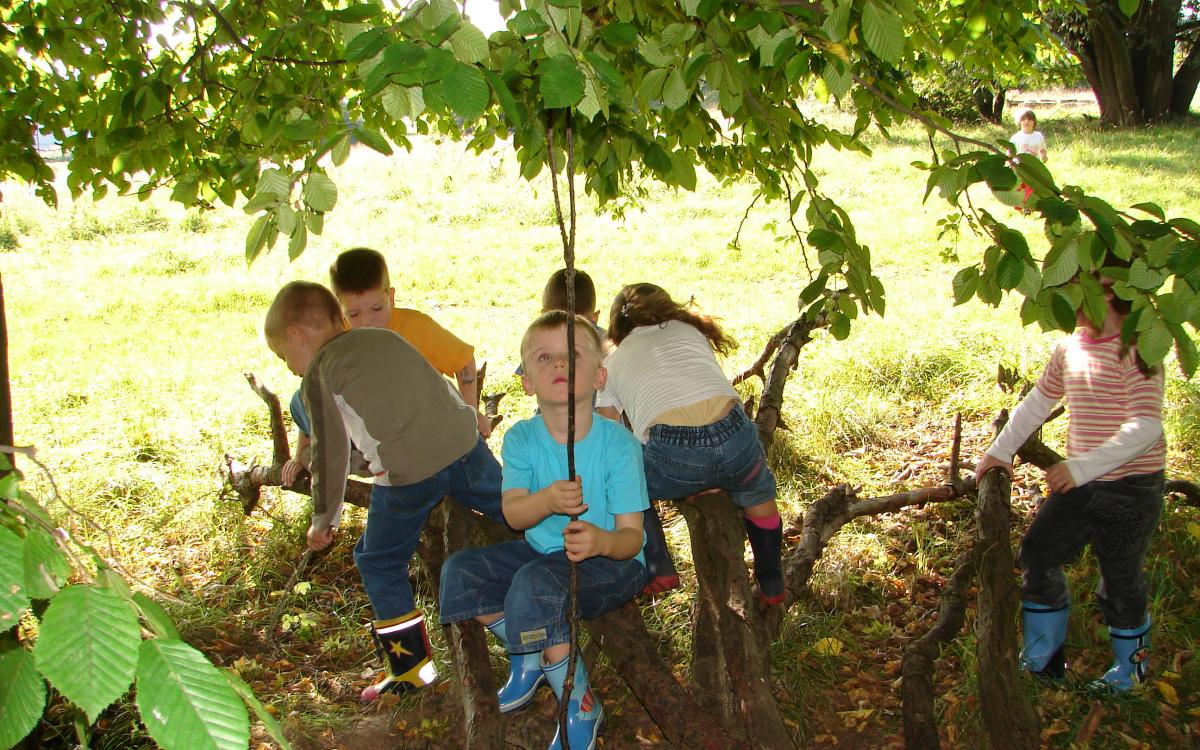 Kindergartenkinder im Wald