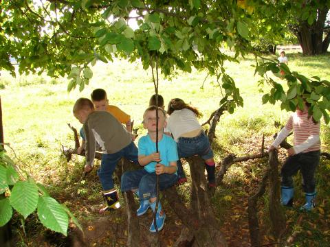 Kindergartenkinder im Wald